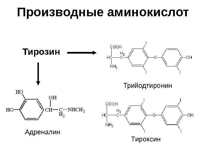 Производные аминокислот Адреналин Тироксин. Трийодтиронин. Тирозин 