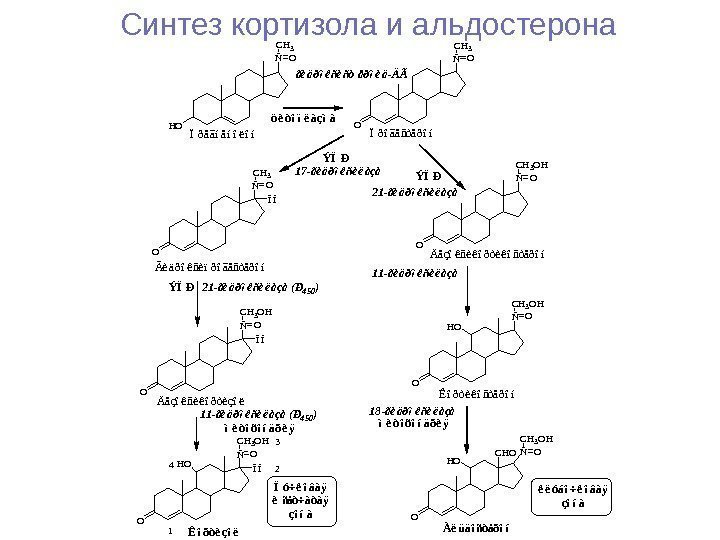 Синтез кортизола и альдостерона. HO ÑO CH 3 Ï ð å ã í å