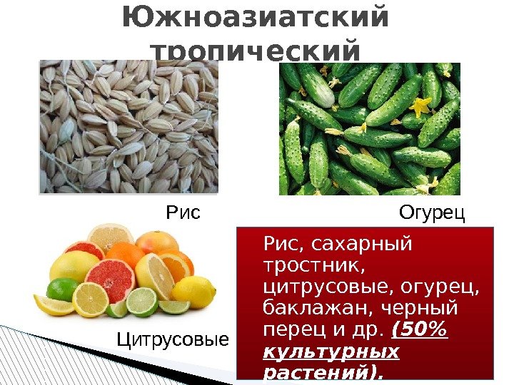 Южноазиатский тропический Рис, сахарный тростник,  цитрусовые, огурец,  баклажан, черный перец и др.