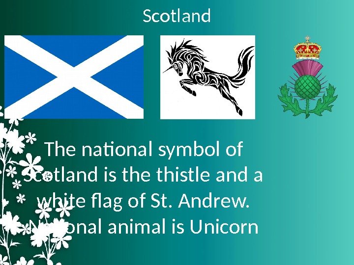 Scotland The national symbol of Scotland is the thistle and a white flag of