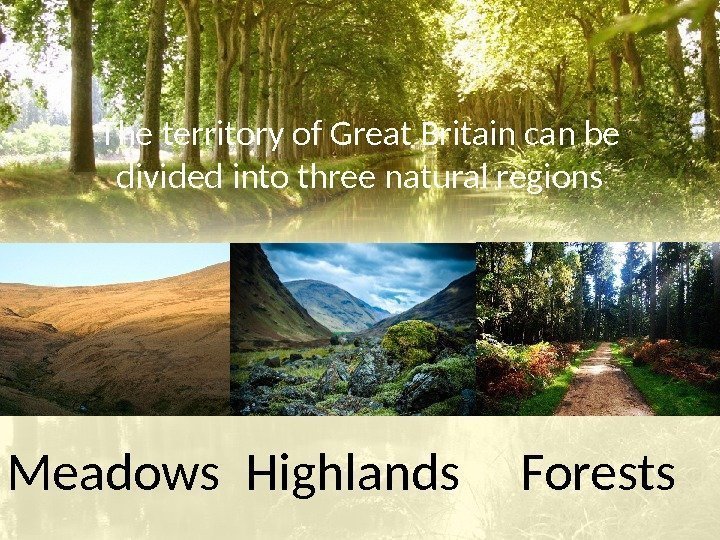 The territory of Great Britain can be divided into three natural regions Highlands Forests.