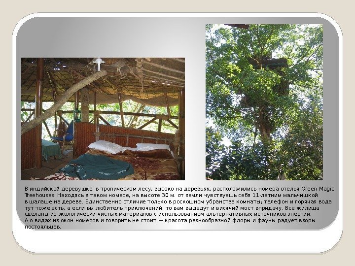 Виндийской деревушке, втропическом лесу, высоко надеревьях, расположились номера отелья Green Magic Treehouses. Находясь втаком