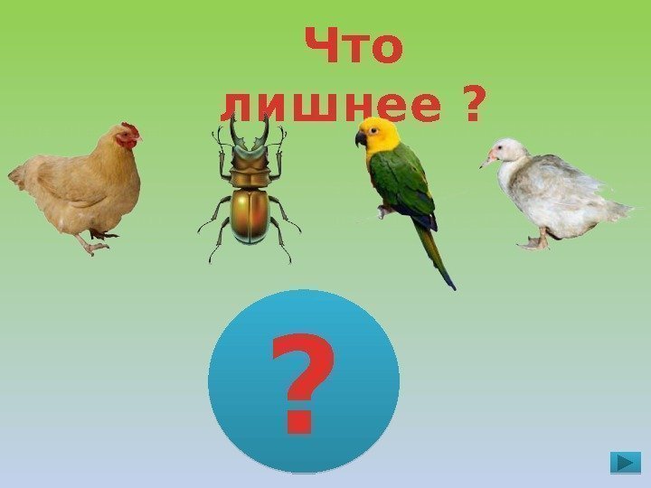 Что лишнее ? ?  