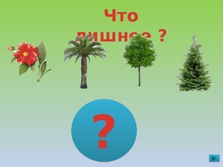 Что лишнее ? ?  