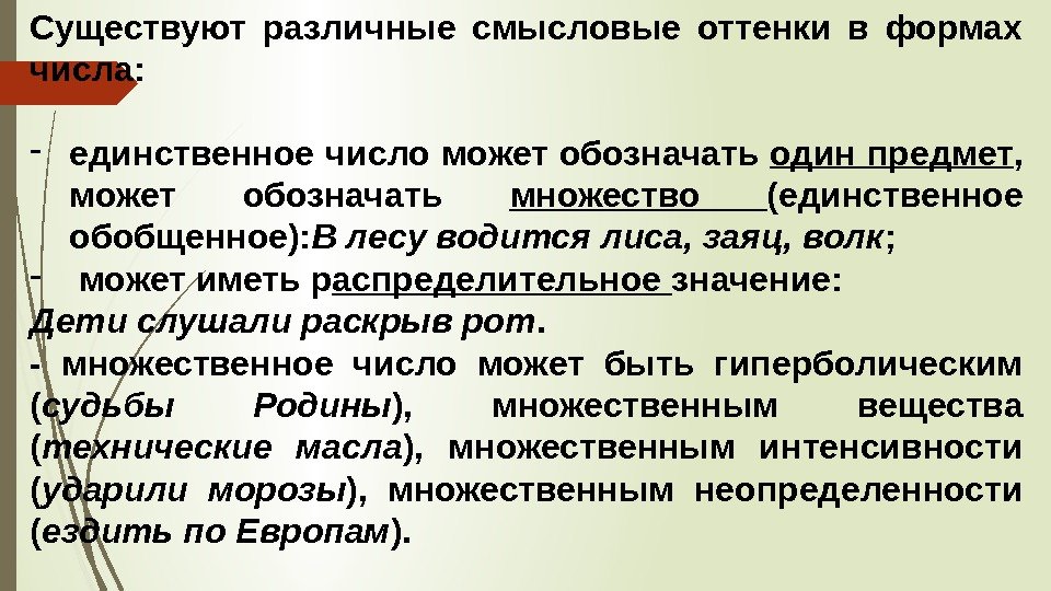 Существуют различные смысловые оттенки в формах числа: - единственноечисломожетобозначать одинпредмет , может обозначать множество