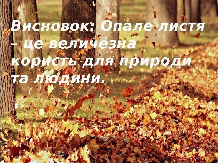 Висновок: Опале листя – це величезна користь для природи та людини.  