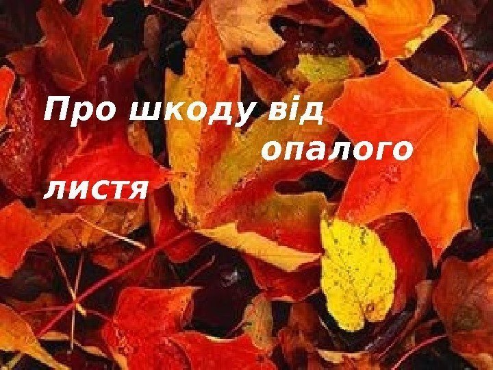 Про шкоду від     опалого листя  