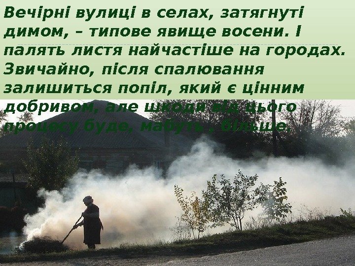 Вечірні вулиці в селах, затягнуті димом, – типове явище восени. І палять листя найчастіше