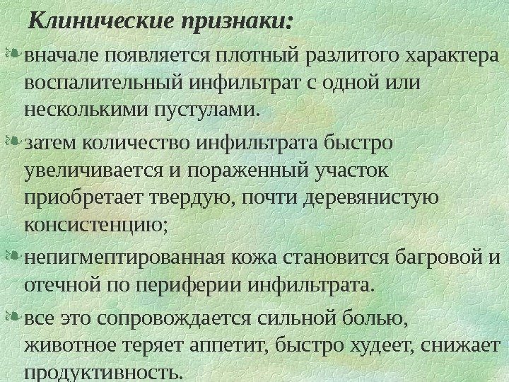   Клинические признаки:  вначале появляется плотный разлитого характера воспалительный инфильтрат с одной