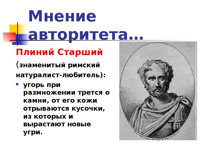   Мнение авторитета… Плиний Старший ( знаменитый римский натуралист-любитель):  угорь при размножении