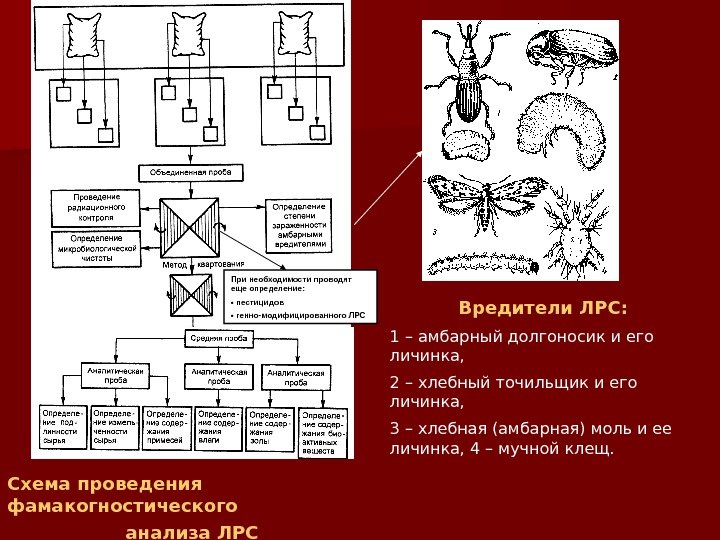 При необходимости проводят еще определение:  •  пестицидов •  генно-модифицированного ЛРС Схема