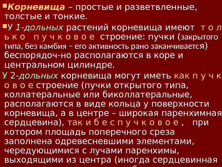  Корневища  – простые и разветвленные,  толстые и тонкие.  У 1