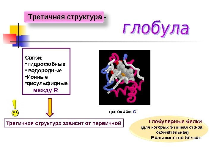   Связи:  •  гидрофобные •  водородные • Ионные • дисульфидные