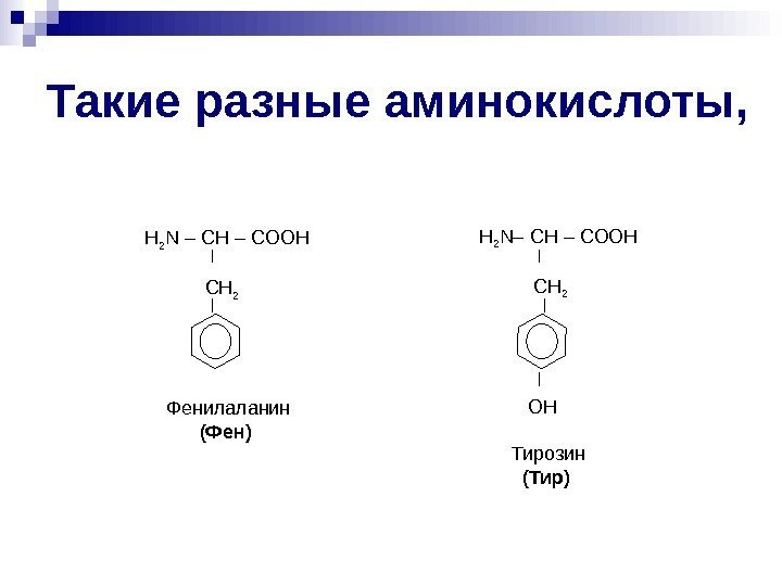   Такие разные аминокислоты, Н 2 N – CH – COOH  