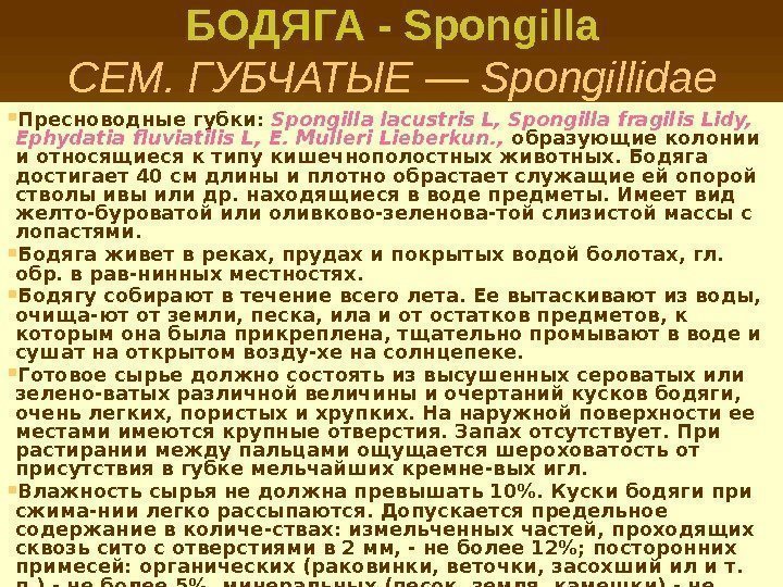 БОДЯГА - Spongilla СЕМ. ГУБЧАТЫЕ — Spongillidae Пресноводные губки:  Spongilla lacustris L, Spongilla