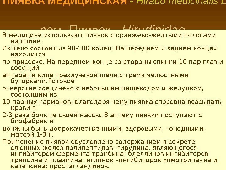 ПИЯВКА МЕДИЦИНСКАЯ - Hirado medicinalis L.  сем. Пиявок - Hirudinidae.  В медицине