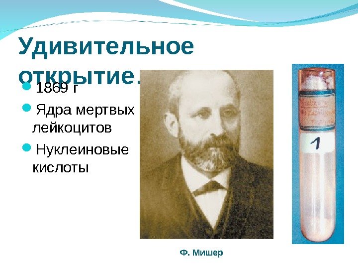 Удивительное открытие… 1869 г Ядра мертвых лейкоцитов Нуклеиновые кислоты  Ф.  Мишер 