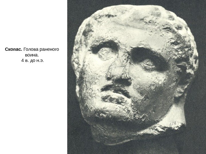 Скопас.  Голова раненого воина.  4 в. до н. э. 