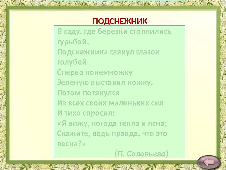 ПОДСНЕЖНИК В саду, где березки столпились гурьбой, Подснежника глянул глазок голубой. Сперва понемножку Зеленую