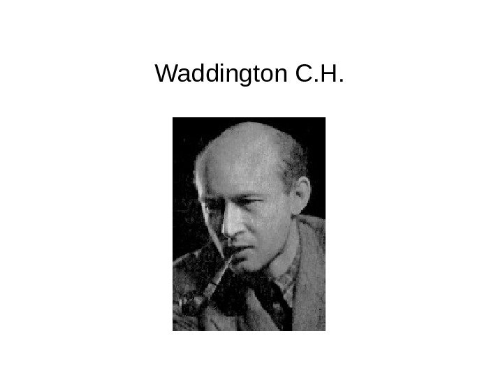 Waddington C. H. 