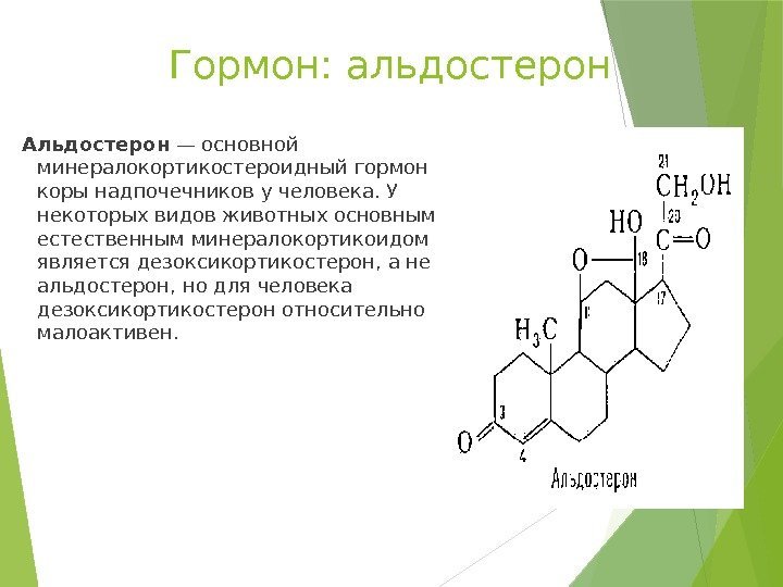 Гормон: альдостерон Альдостерон — основной минералокортикостероидный гормон коры надпочечников у человека. У некоторых видов