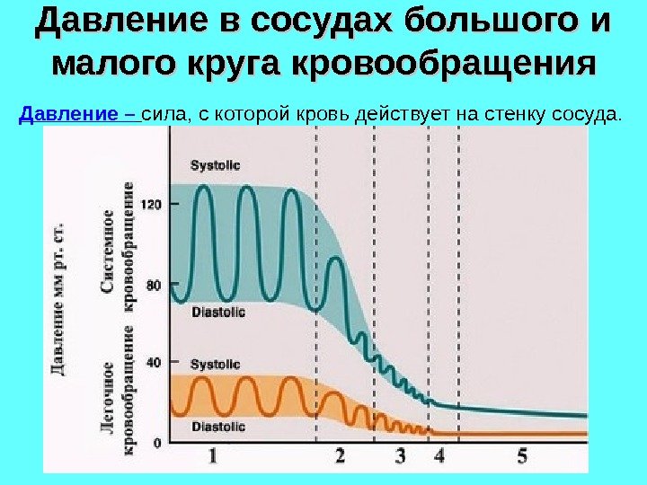 Давление в сосудах большого и малого круга кровообращения Давление –  сила, с которой