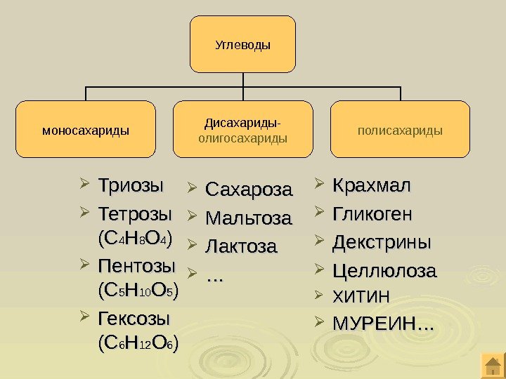  Триозы Тетрозы (С(С 44 НН 88 ОО 44 )) Пентозы (С(С 55 НН