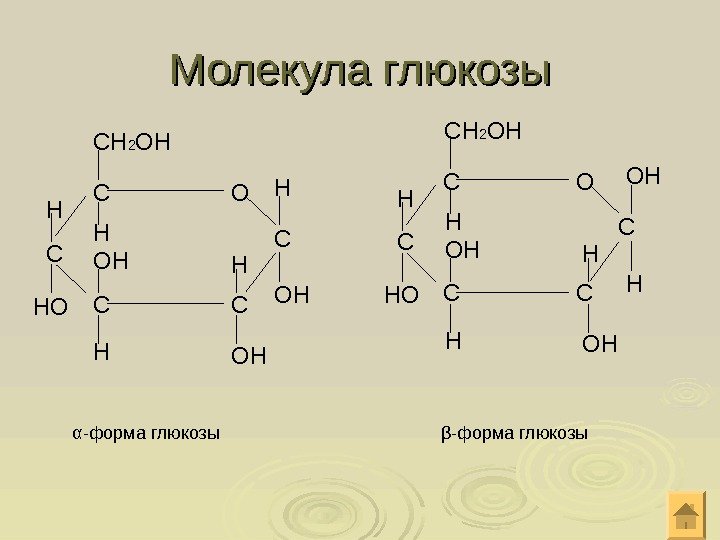 Молекула глюкозы С О ССС ССН 2 ОН Н Н НО ОН ОНОН α