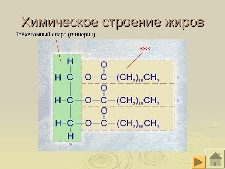 Химическое строение жиров Трёхатомный спирт (глицерин) ВЖК 