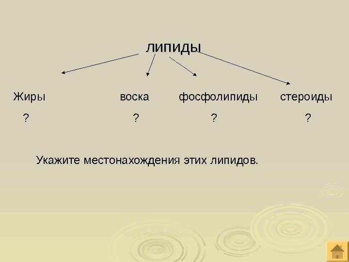      липиды Жиры    воска   фосфолипиды