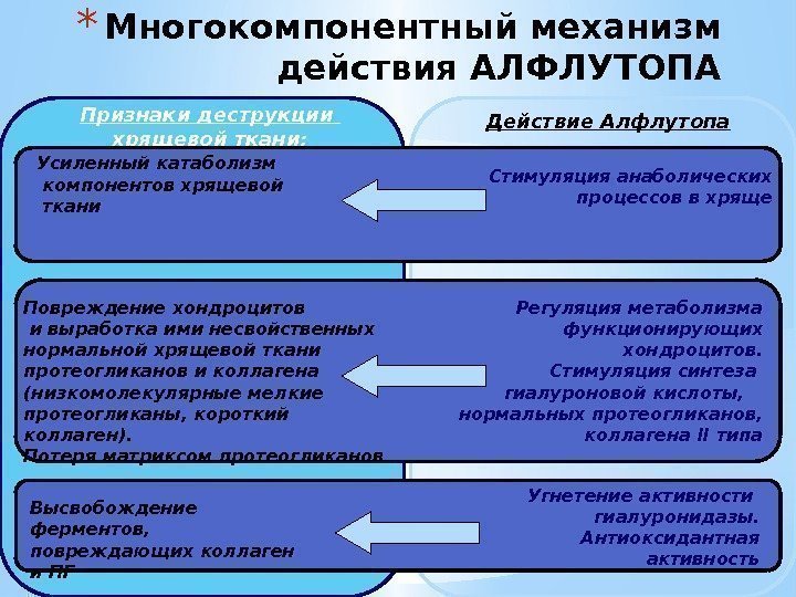 * Многокомпонентный механизм действия АЛФЛУТОПА Признаки деструкции  хрящевой ткани: Стимуляция анаболических процессов в