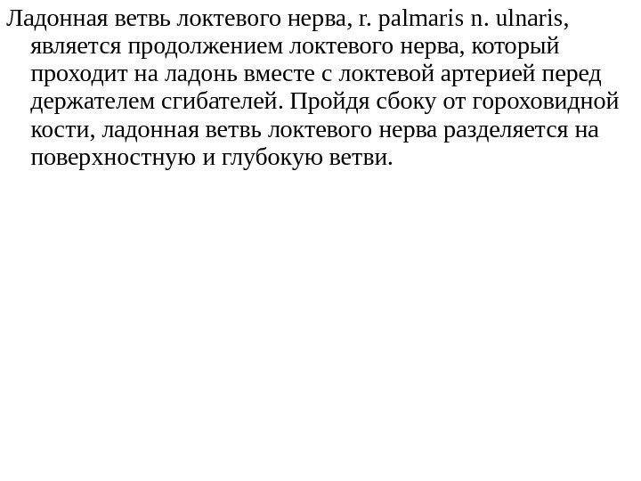 Ладонная ветвь локтевого нерва, r. palmari s n.  ulnar is,  является продолжением