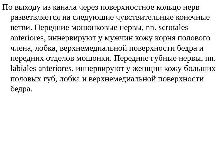 По выходу из канала через поверхностное кольцо нерв разветвляется на следующие чувствительные конечные ветви.