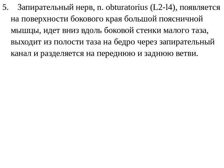 5. Запирательный нерв, n. obturatoriu s (L 2 - l 4), появляется на поверхности