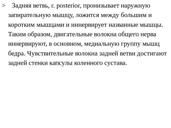   Задняя ветвь, r. posterio r, пронизывает наружную запирательную мышцу, ложится между большим