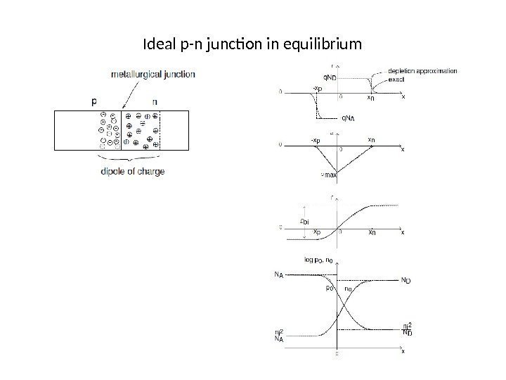 Ideal p-n junction in equilibrium 