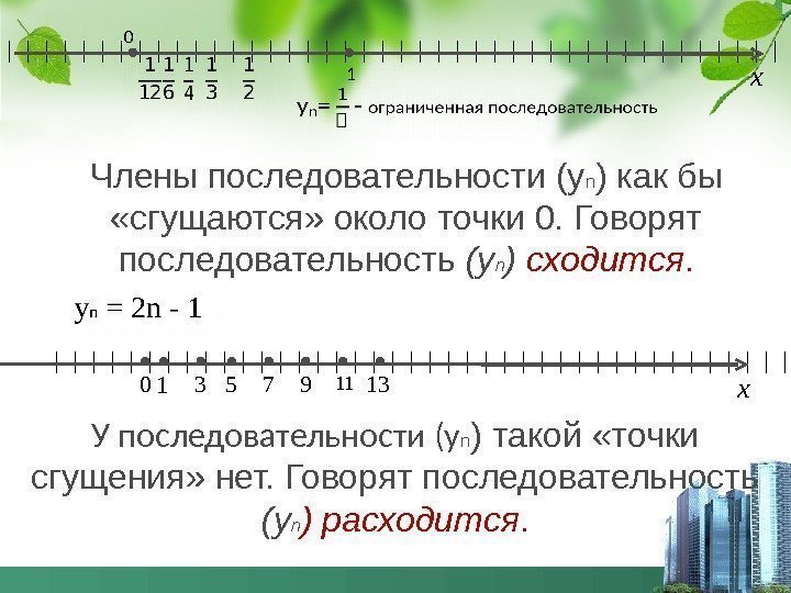      Члены последовательности (у n ) как бы  «сгущаются»