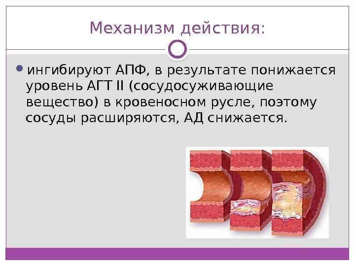 Механизм действия:  ингибируют АПФ, в результате понижается уровень АГТ II (сосудосуживающие вещество) в