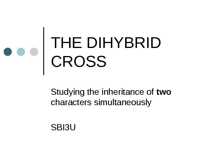THE DIHYBRID CROSS  Studying the inheritance of two  characters simultaneously  SBI