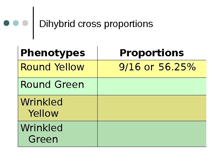 Dihybrid cross proportions Phenotypes Proportions Round Yellow 9/16 or 56. 25 Round Green Wrinkled