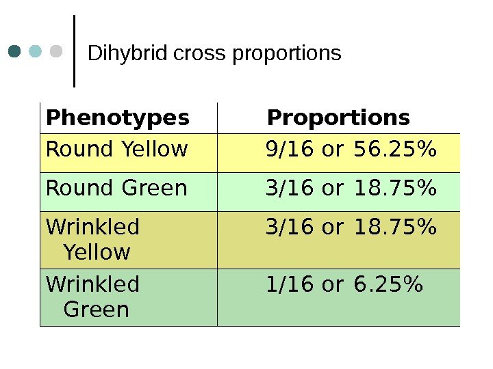 Dihybrid cross proportions Phenotypes Proportions Round Yellow 9/16 or 56. 25 Round Green 3/16