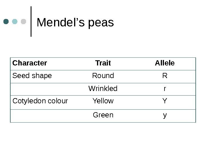 Mendel ’ s peas Character Trait Allele Seed shape Round R Wrinkled r Cotyledon