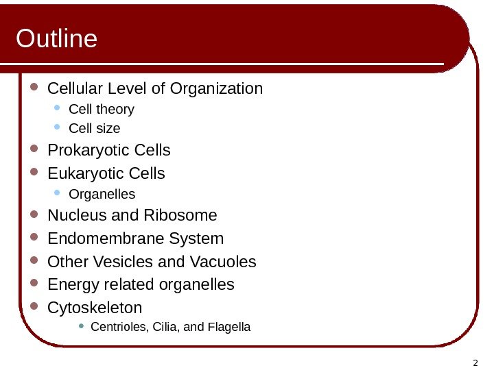 2 Outline Cellular Level of Organization Cell theory Cell size Prokaryotic Cells Eukaryotic Cells