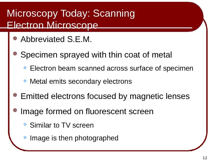 12 Microscopy Today: Scanning Electron Microscope Abbreviated S. E. M.  Specimen sprayed with