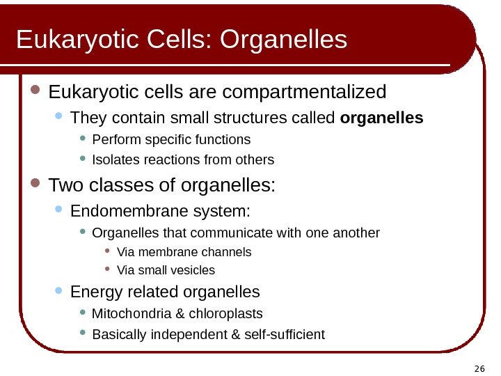 26 Eukaryotic Cells: Organelles Eukaryotic cells are compartmentalized They contain small structures called organelles