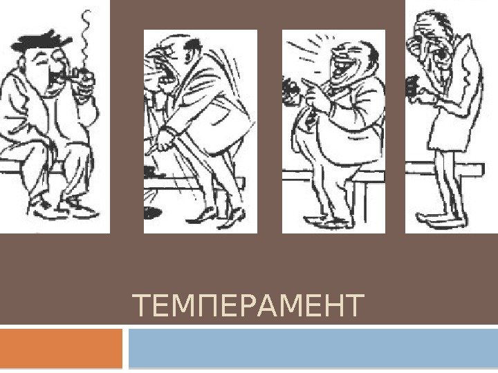 ТЕМПЕРАМЕНТ  