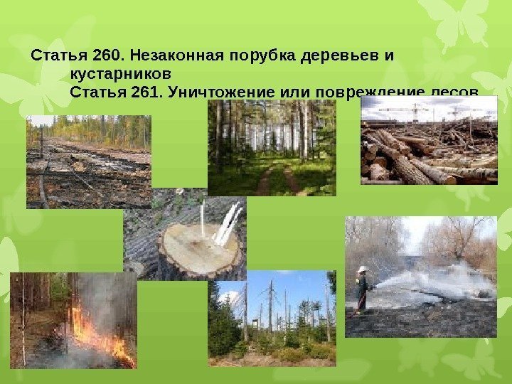 Статья 260. Незаконная порубка деревьев и кустарников  Статья 261. Уничтожение или повреждение лесов