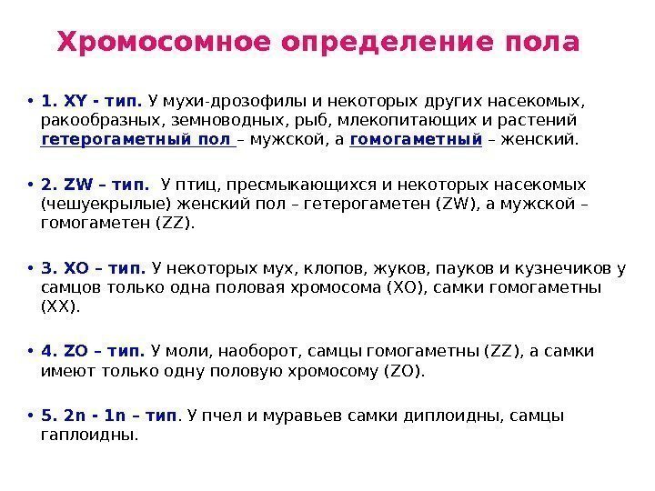 Хромосомное определение пола • 1. ХY - тип.  У мухи-дрозофилы и некоторых других