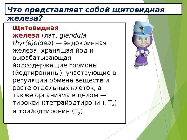 Что представляет собой щитовидная железа? Щитовидная железа (лат. glandula thyr(e)oidea )—эндокринная железа, хранящаяйоди вырабатывающая