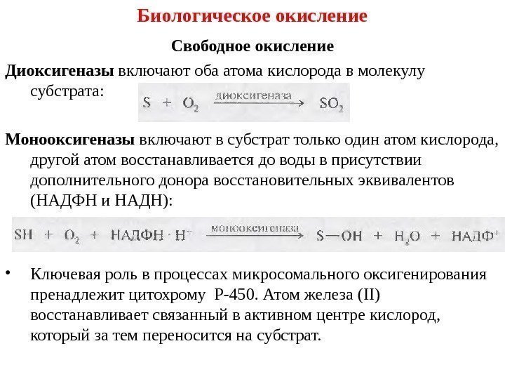 Биологическое окисление Свободное окисление Диоксигеназы включают оба атома кислорода в молекулу субстрата : Монооксигеназы